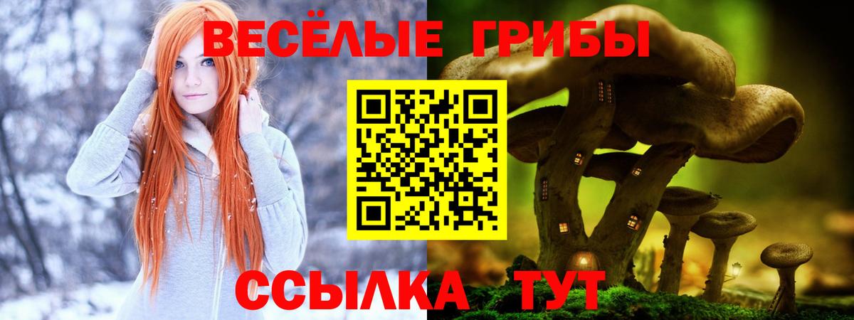 Псилоцибиновые грибы ЛСД  Вход с VPN  Алапаевск 